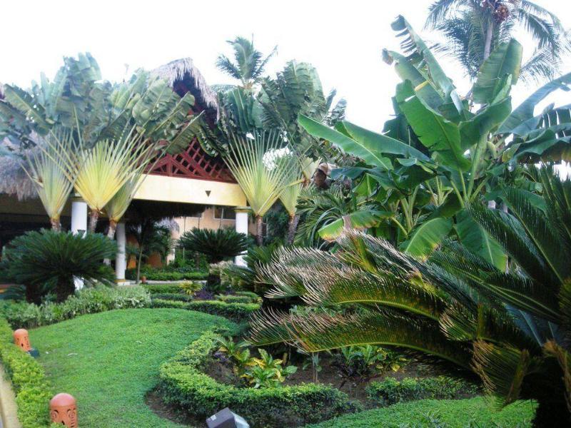 Resort Vik Cayena 5*